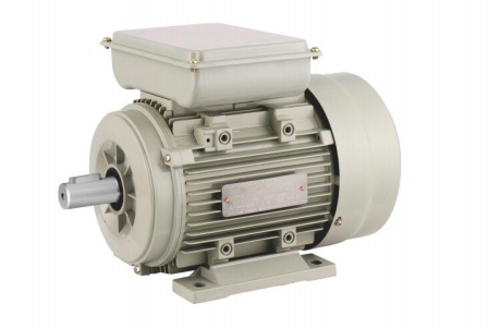 Single-phase asynchronous motor