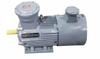 YBX3 SERIES HIGH EFFICIENCY THREE PHASE ASYNCHRONOUS MOTOR