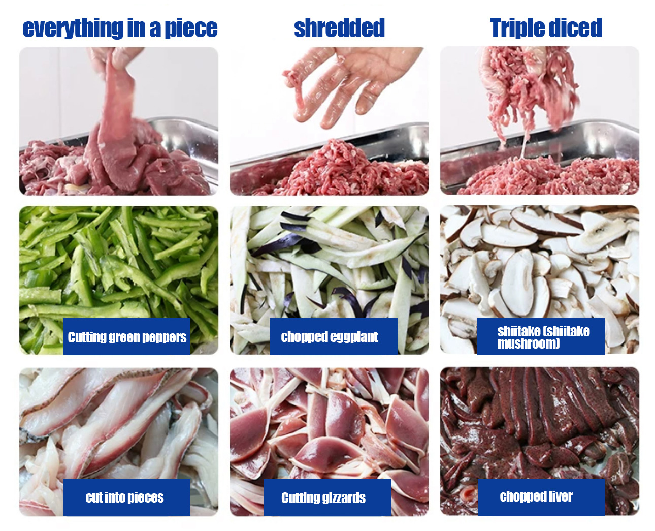 DESKTOP MEAT GRINDER7