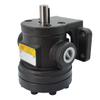 Quantitative vane pump