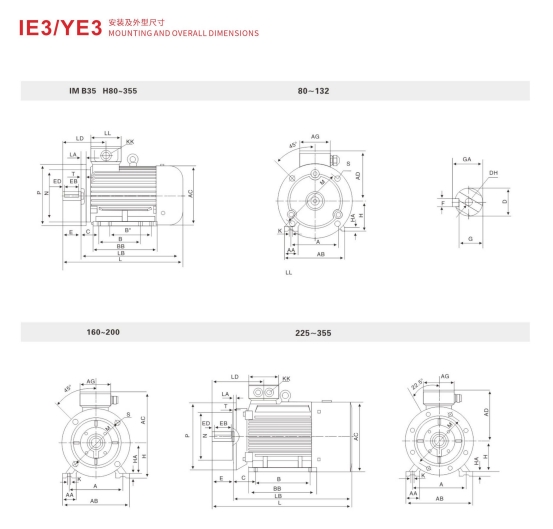 PREMIUM EFFICENCY THREE P PHASE ASYNCHRONOUS MOTOR
