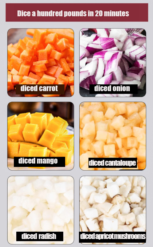 VEGETABLE PROCESSING MACHINE3