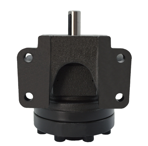 Quantitative vane pump