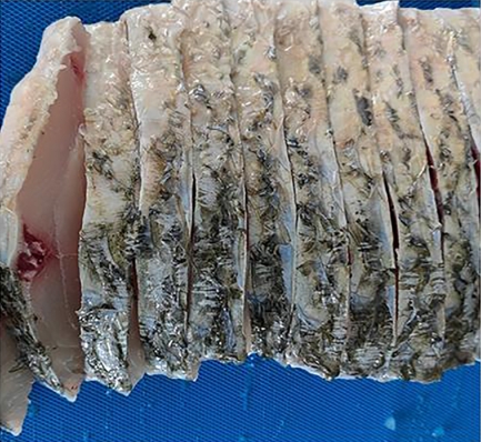 FRESH/FROZEN MEAT SLICER