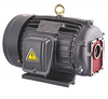YT SERIES SPECIAL MOTOR PUMP