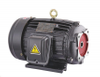 YT SERIES SPECIAL MOTOR PUMP