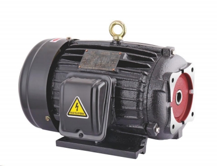 YT SERIES SPECIAL MOTOR PUMP