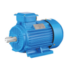 Variable frequency multi speed three-phase asynchronous motor